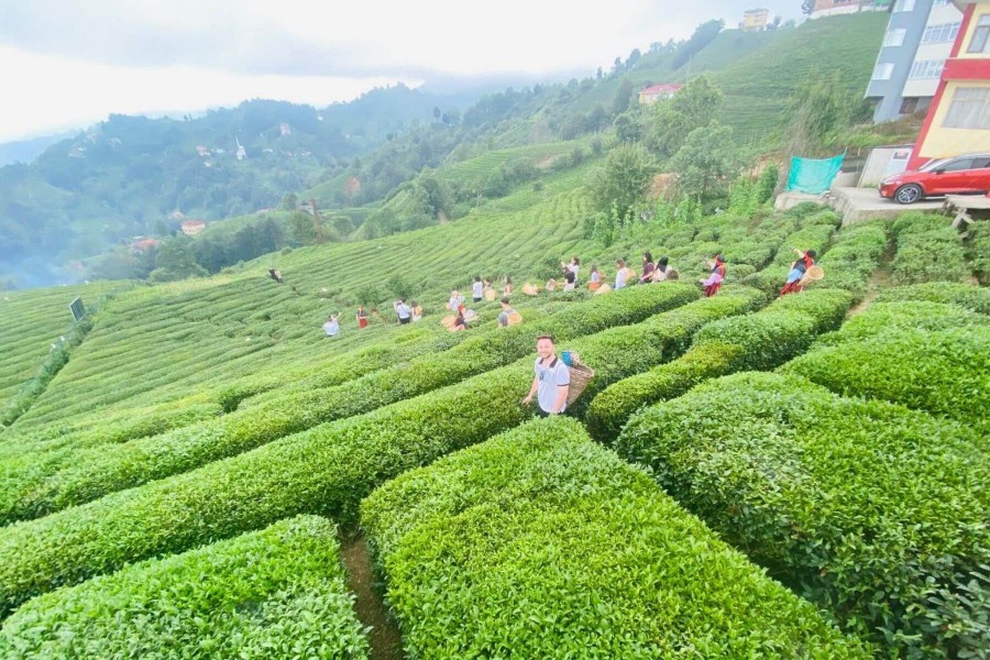 4 Gece 5 günlük Doğu Karadeniz ve Yaylaları Tur