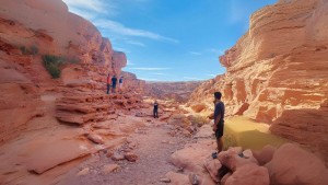 4 Gecelik Sharm El Sheikh Turu