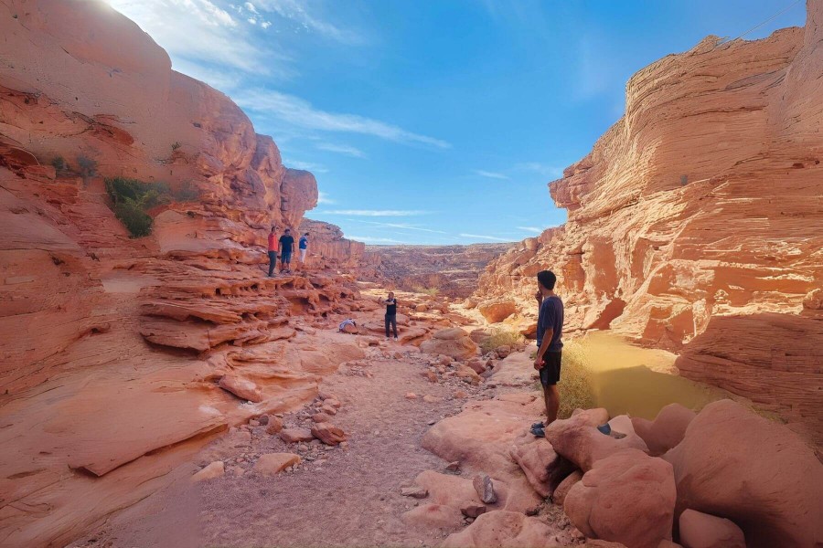 4 Gecelik Sharm El Sheikh Turu